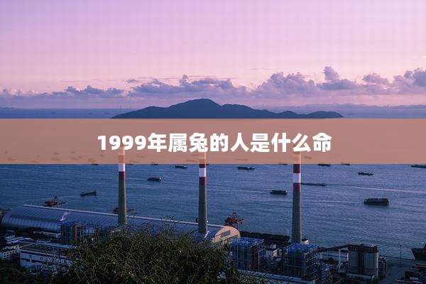 1999年属兔的人是什么命