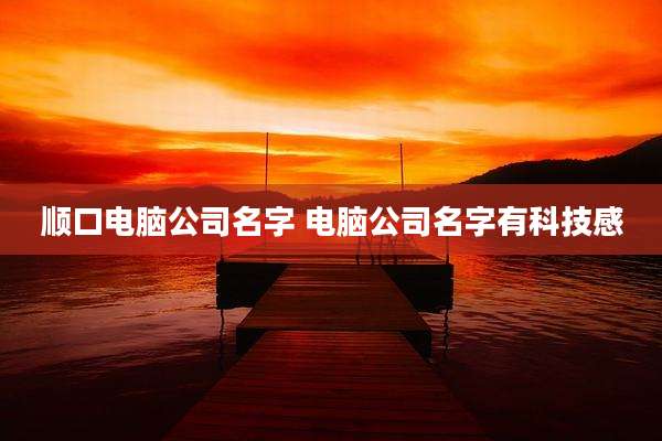 顺口电脑公司名字 电脑公司名字有科技感