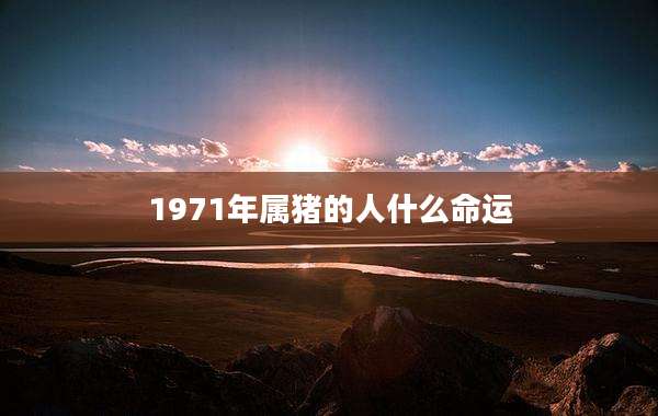 1971年属猪的人什么命运