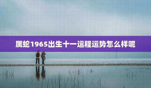 属蛇1965出生十一运程运势怎么样呢