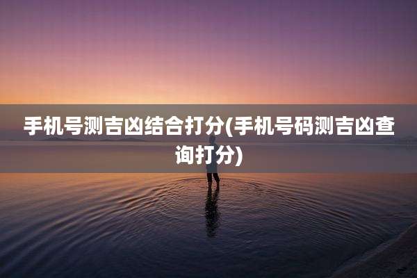 手机号测吉凶结合打分(手机号码测吉凶查询打分)