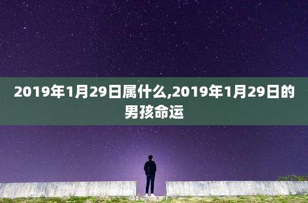 2019年1月29日属什么,2019年1月29日的男孩命运