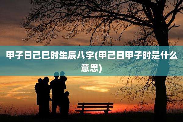 甲子日己巳时生辰八字(甲己日甲子时是什么意思)