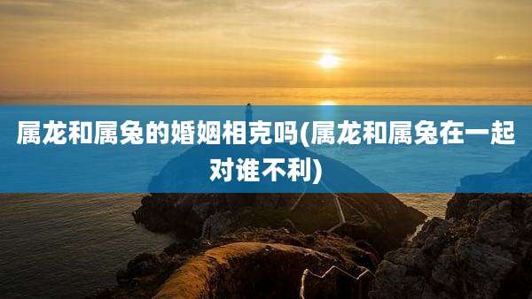 属龙和属兔的婚姻相克吗(属龙和属兔在一起对谁不利)