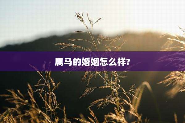属马的婚姻怎么样?