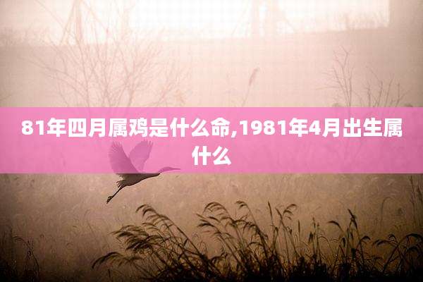 81年四月属鸡是什么命,1981年4月出生属什么