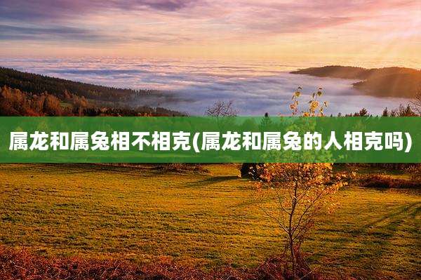 属龙和属兔相不相克(属龙和属兔的人相克吗)