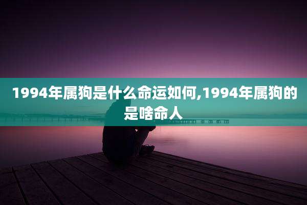 1994年属狗是什么命运如何,1994年属狗的是啥命人