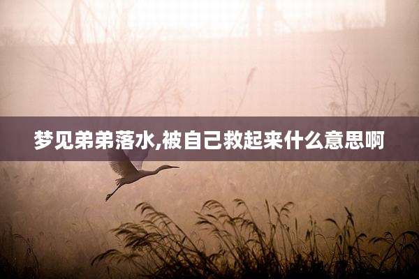 梦见弟弟落水,被自己救起来什么意思啊