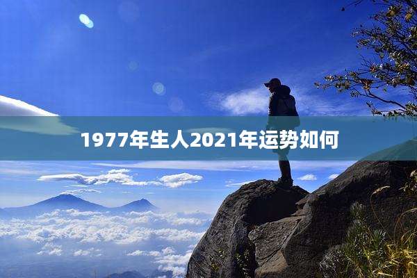 1977年生人2021年运势如何