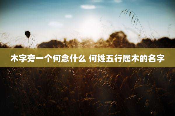 木字旁一个何念什么 何姓五行属木的名字