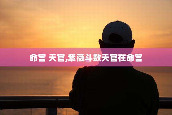 命宫 天官,紫薇斗数天官在命宫