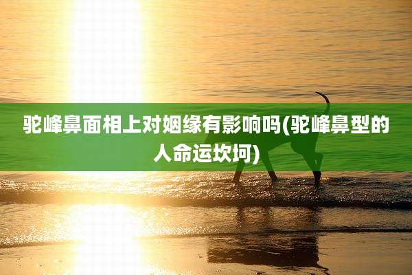 驼峰鼻面相上对姻缘有影响吗(驼峰鼻型的人命运坎坷)