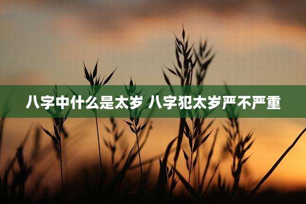 八字中什么是太岁 八字犯太岁严不严重