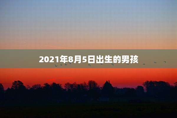 2021年8月5日出生的男孩