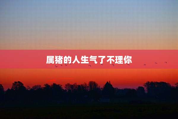 属猪的人生气了不理你