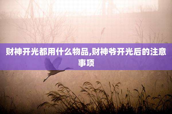 财神开光都用什么物品,财神爷开光后的注意事项