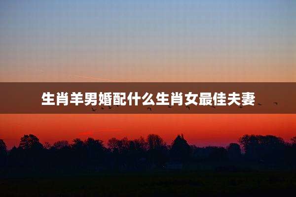 生肖羊男婚配什么生肖女最佳夫妻