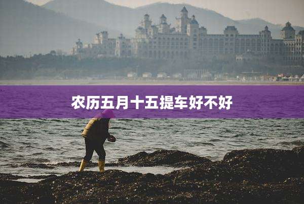 农历五月十五提车好不好