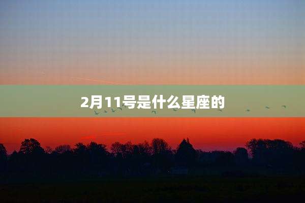 2月11号是什么星座的