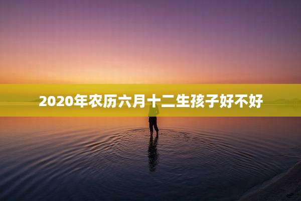 2020年农历六月十二生孩子好不好