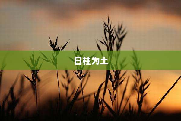 日柱为土