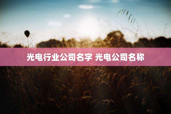 光电行业公司名字 光电公司名称