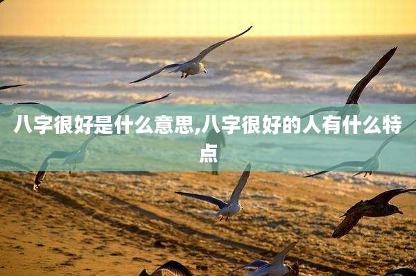 八字很好是什么意思,八字很好的人有什么特点