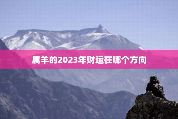 属羊的2023年财运在哪个方向