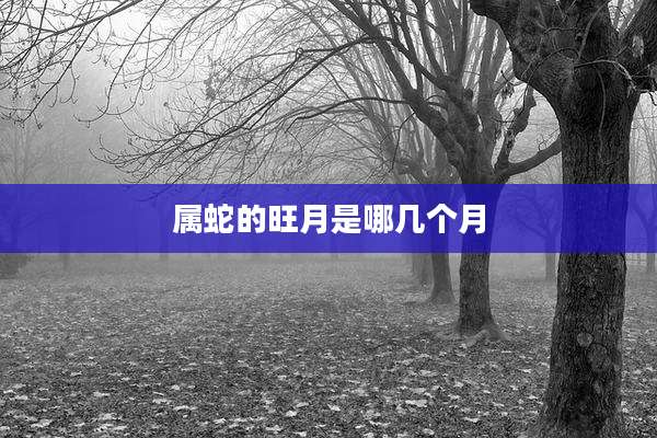 属蛇的旺月是哪几个月
