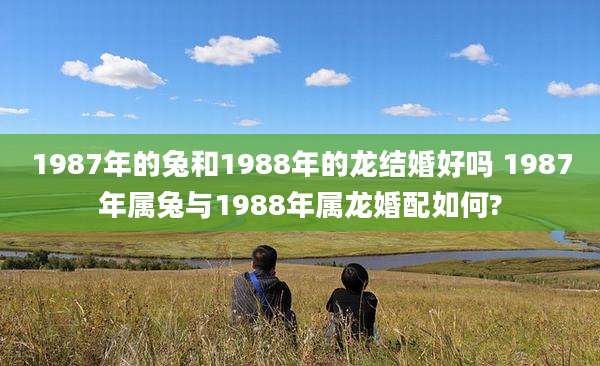 1987年的兔和1988年的龙结婚好吗 1987年属兔与1988年属龙婚配如何?