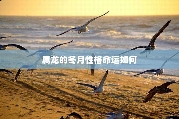 属龙的冬月性格命运如何