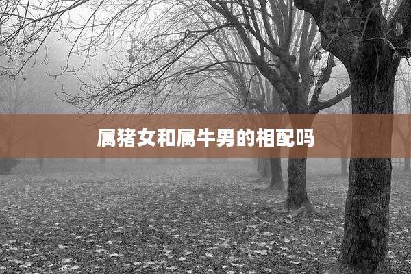 属猪女和属牛男的相配吗