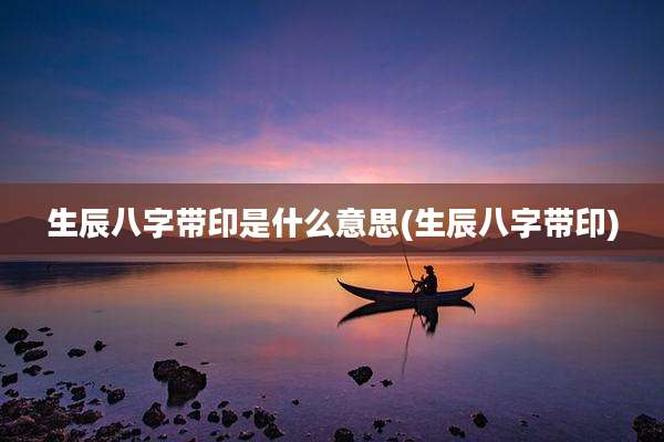 生辰八字带印是什么意思(生辰八字带印)