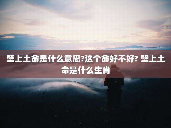 壁上土命是什么意思?这个命好不好? 壁上土命是什么生肖