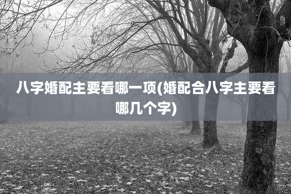 八字婚配主要看哪一项(婚配合八字主要看哪几个字)