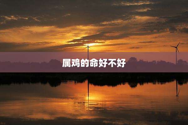 属鸡的命好不好