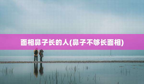 面相鼻子长的人(鼻子不够长面相)