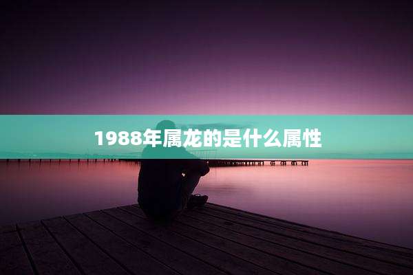 1988年属龙的是什么属性