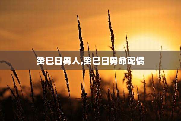 癸巳日男人,癸巳日男命配偶