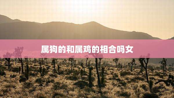 属狗的和属鸡的相合吗女