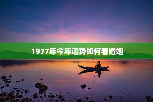1977年今年运势如何看婚姻