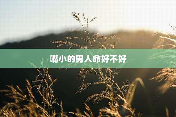 嘴小的男人命好不好