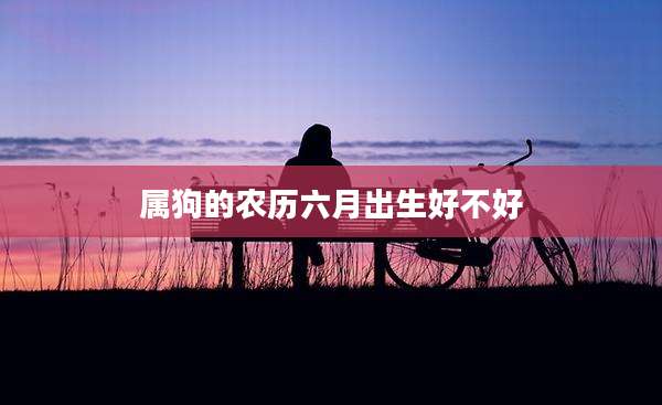 属狗的农历六月出生好不好