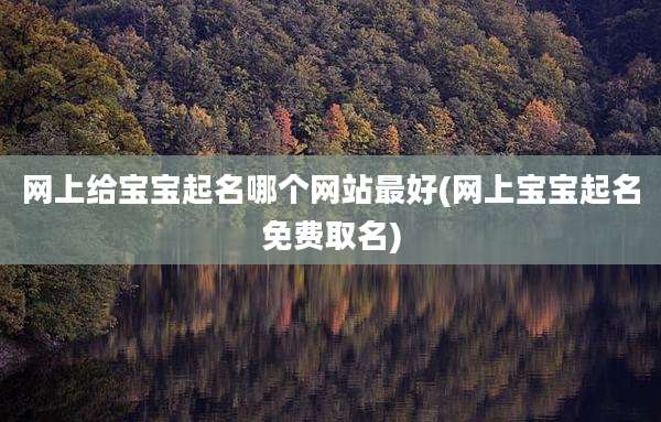 网上给宝宝起名哪个网站最好(网上宝宝起名免费取名)