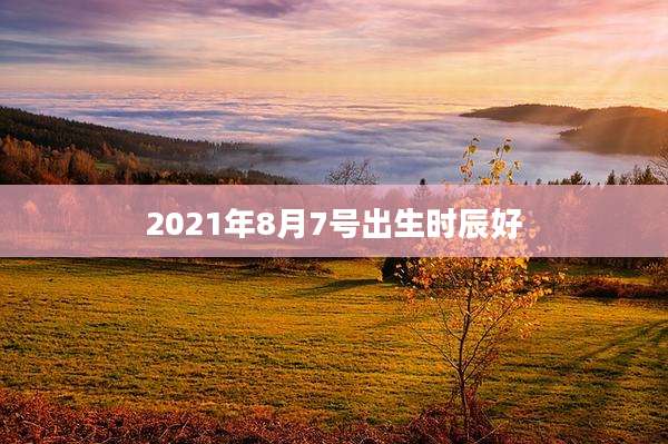 2021年8月7号出生时辰好