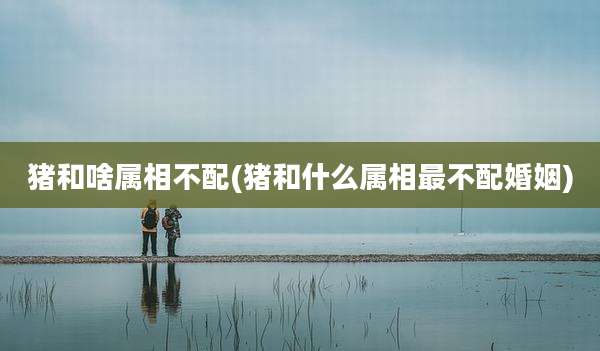 猪和啥属相不配(猪和什么属相最不配婚姻)