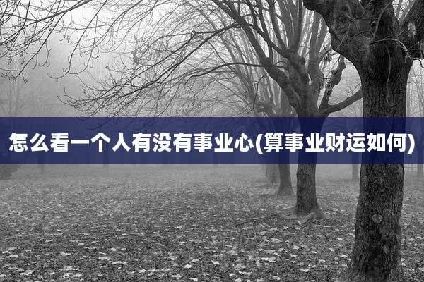 怎么看一个人有没有事业心(算事业财运如何)