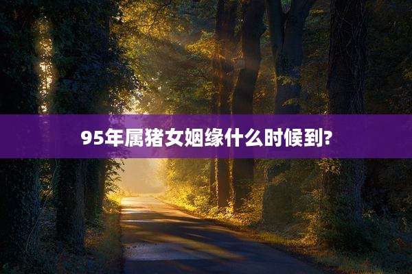 95年属猪女姻缘什么时候到?