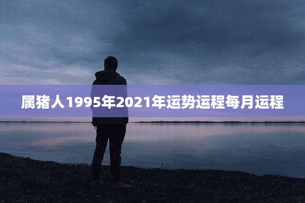 属猪人1995年2021年运势运程每月运程